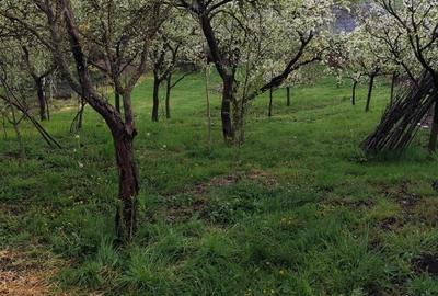 Teren de 1079 mp, în Săndulești - 2