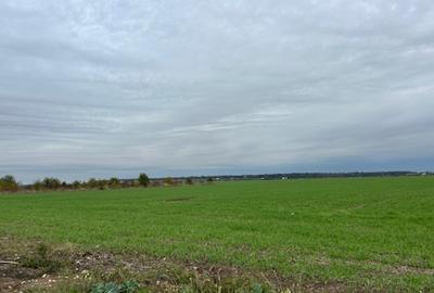 Darvari Ciorogarla Str Tineretului 2 loturi 500 mp zona in dezvoltare - 14