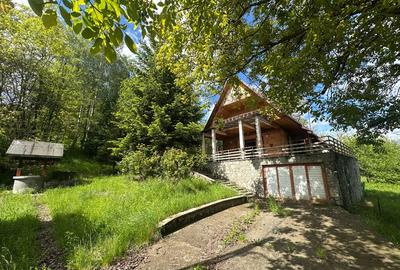 VIGAFON - Casa 4 camere Homoraciu - 10