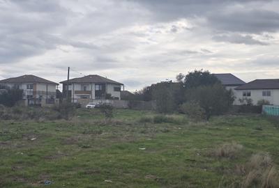 Vanzari terenuri in Palazu Mare -  Constanta Vanzari terenuri in Palazu Mare -  Constanta - 7