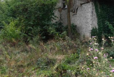 Teren de 2900 mp, în Putineiu - 4