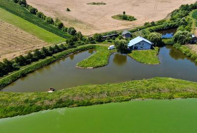 Teren agricol intravilan de 31500 mp, în Negrești (Bâra) - 4