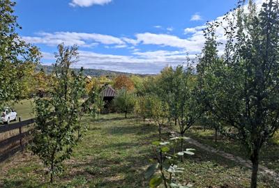 Priveliste de vis, 5 camere + anexe, teren 7000 mp, gata de mutat - comision 0%! - 6