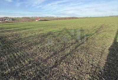 Teren de 14400 mp, în Aroneanu - 6