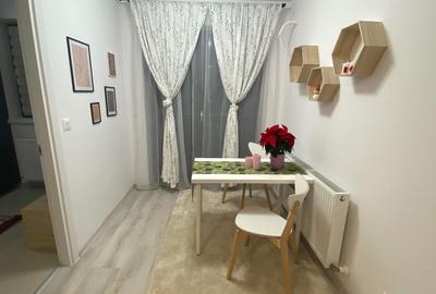 GARSONIERA | THEODOR PALLADY | HILS | PARCARE | METROU - 3