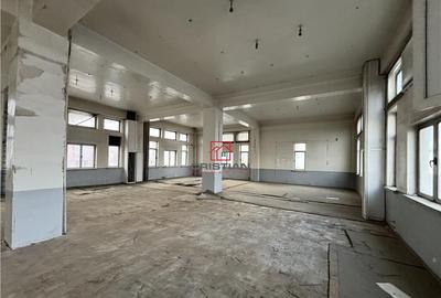 Spatiu comercial/cladire birouri Rahova - Margeanului, Bucu - 12