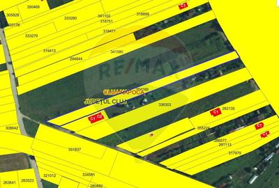Teren Construcții intravilan de 3800 mp, în Sopor - 2