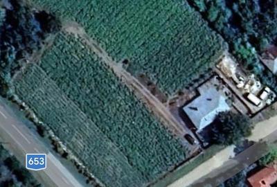 Casă cu Teren 5500 Mp în Zlata - 5