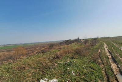 Teren în Bălăceanca