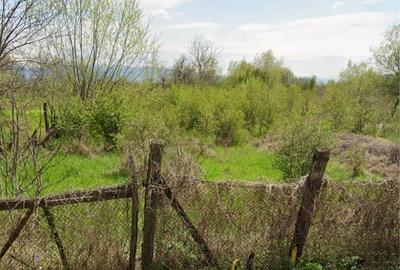 Spațiu comercial, în Caransebeș - 1