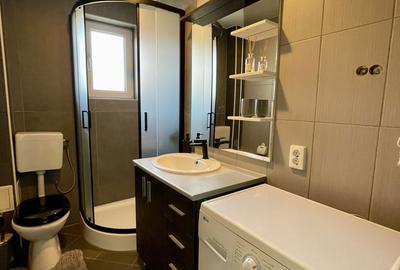 Apartament cu 2 camere, mobilat în Tudor Vladimirescu - 7
