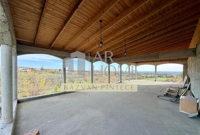 Pensiune 6 camere, teren 12713 mp, Dealul Mare, Urlati, Prah - 5