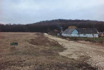 Teren de 500 mp, în Alparea - 5