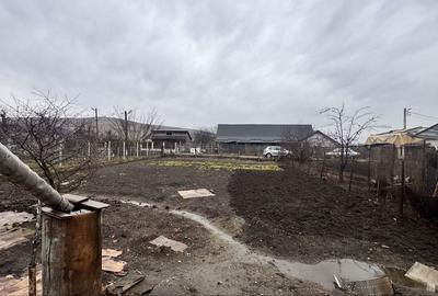 Casă cu 3 camere în Bogata - 6