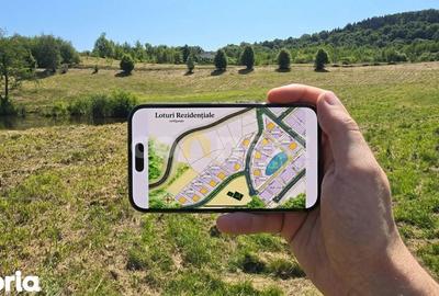 Teren de 1000 mp, în Făget - 1