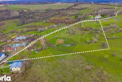 Teren de 33500 mp, în Bucov - 7