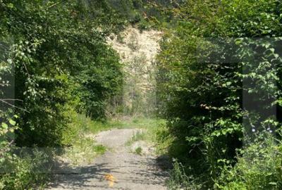 Teren de 743 mp, în Baciu - 1