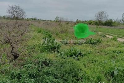 Teren de 2000 mp, în Mihăilești - 1