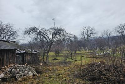 Casa la tara cu 5 camere + teren suprafata 1852 mp, Sat Campani, Bihor - 3