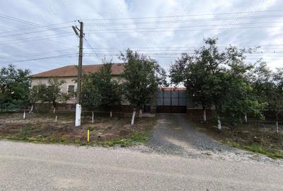 Casă cu 4 camere cu Teren 3600 Mp în Grăniceri - 1