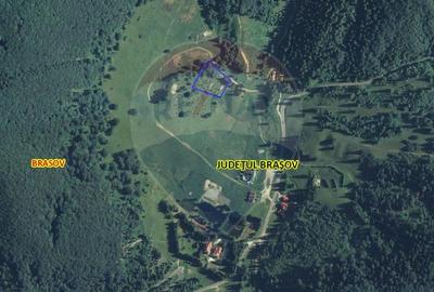 Teren intravilan de 6750 / 13500 mp in Poiana Brasov - 2