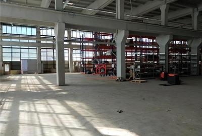 Hala/depozit/spatiu industrial Basarabia - Faur - 22