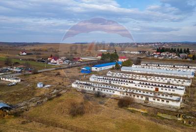 Teren Construcții intravilan de 39600 mp, în Traian - 6