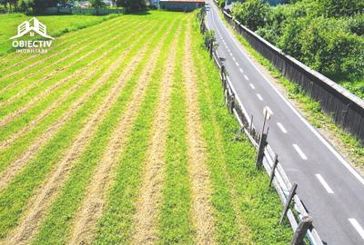 Teren agricol intravilan de 1000 mp, în Gârcina - 7