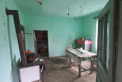 Babța Satu Mare casa si teren de vanzare - 4