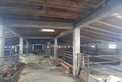 Spațiu comercial, de 21,000 mp, în Central - 8