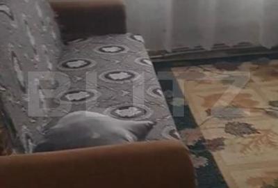 Apartament cu 3 camere în Central - 3