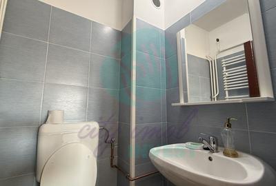 Apartament cu 3 camere decomandat, mobilat în Armeneasca - 5