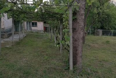 Casă cu Teren 1100 Mp în Ulmetu - 3