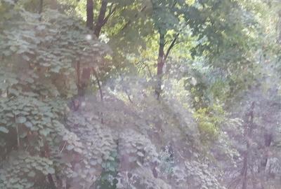 Garsonieră decomandată, mobilată în Drumul Taberei