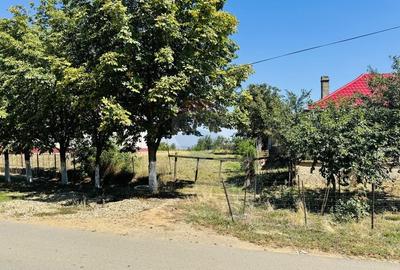 Teren Construcții intravilan de 2841 mp, în Apateu - 18