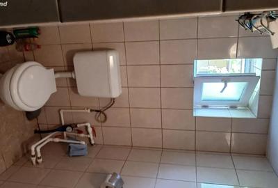 Casă cu 3 camere cu Teren 4022 Mp în Dumbrava (Unirea) - 3