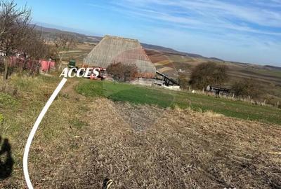 Teren de 5600 mp, în Bogdand - 3