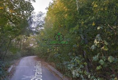 Teren de 274384 mp, în Central - 2