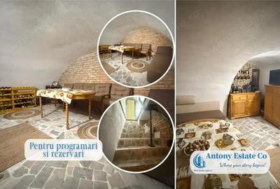 Proprietate cu crama, Ultracentral, casa de vanzare, Oradea, Bihor - 10