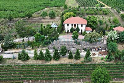 Gaminvest Conac nobiliar restaurat în Bihor, România,V4105B - 2