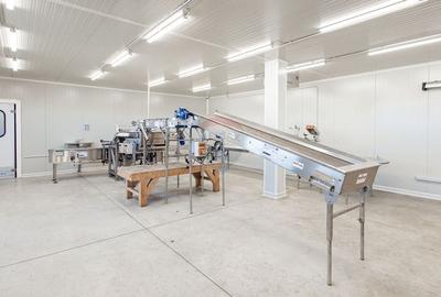 DE VANZARE una dintre cele mai moderne plantatii de afin din Romania - 6