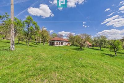 Casă individuală cu 2 camere cu Canalizare în Măgulicea - 37