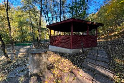 Casă individuală cu 4 camere cu Teren 1292 Mp în Drăganu - 14