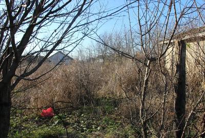 Casă cu Teren 3600 Mp în Slătioarele