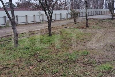 Cladire deosebita 550 mp, Popesti - 3