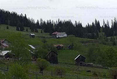 Teren extravilan de 14485 mp, în Iacobeni - 3