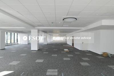 Spațiu comercial, de 390 mp, în Lujerului - 8
