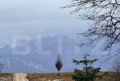 Teren in suprafa?a de 80.000 mp, situat in Glajerie - 1