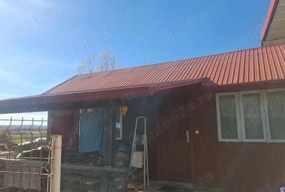 Casă cu 3 camere cu Teren 2800 Mp în Central - 11
