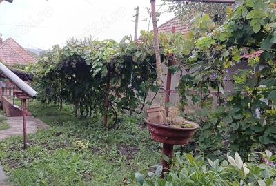 Casă cu 5 camere cu Teren 1000 Mp în Balda